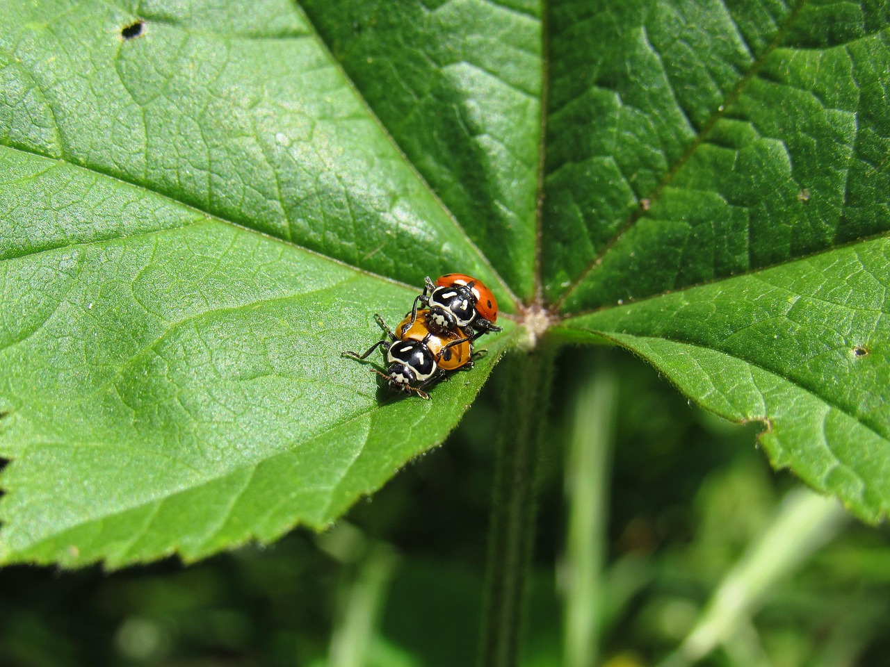 58同城实名账号:番禺代理注册香港公司注册