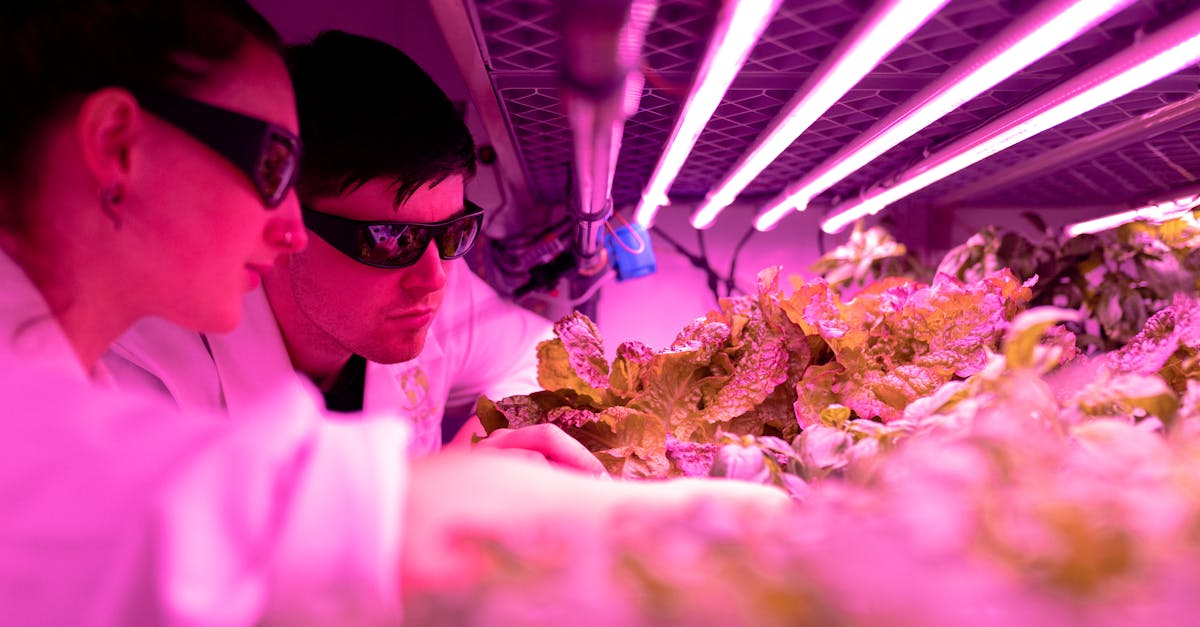 苍空物语:代理专业工商注册