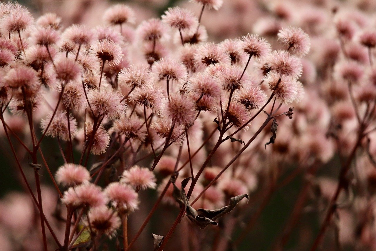 微信老号买卖：雨花区工商注册代理公司